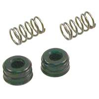 Danco 88745 Seat and Spring Assembly, Rubber/Stainless Steel