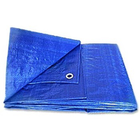 40' X 60' BLUE PLASTIC TARP