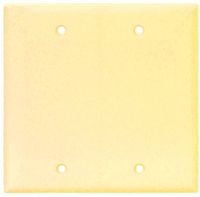 WALL PLATE 2-G BLANK IVORY