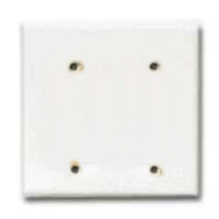 WALL PLATE 2-G BLANK WHITE