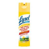 Lysol Professional Disinfectant Spray, Original Scent, 19 oz