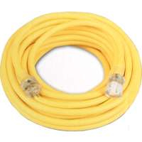 Coleman Cable 02587 12/3 Vinyl Outdoor Extension Cord with Lighted End, 25-Feet