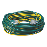 EXT CORD 12/3 SJT X 100'GRN/YELW