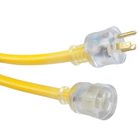 EXTENSION CORD 10/3 SJT X 25'