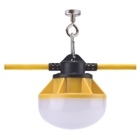 LIGHT STRMR 16/3 RD x50' LED