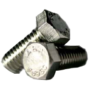 CAP SCREWS SS  3/8-16 X 2-1/2