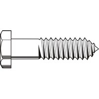 LAG BOLTS SS  3/8 X 5