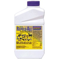 Bonide 237 Ready-to-Use Repels All Rodents, 32-Ounce
