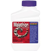 Bonide 992 Concentrate Malathion Insect Control, 16-Ounce
