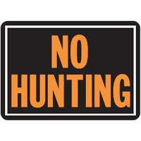 SIGN 806 NO HUNTING