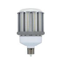 LAMP LED 80W(320W)/HID/50K/EX39