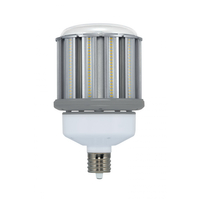 LAMP LED 100W(400W)/HID/50K/EX39