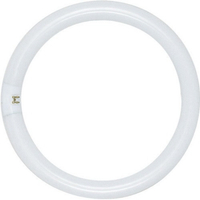 LAMP FL FC12T9/CW CIRCLINE