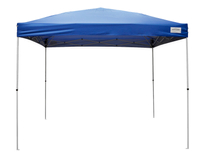Seasonal Trends VPR10021-0 Canopy, 10 ft L, 10 ft W, 9 ft 1 in H, Steel Frame, Polyester Canopy