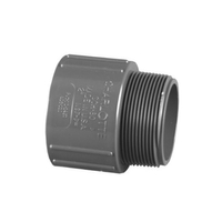 PVC SCH80 MALE ADAPTER 1-1/4"
