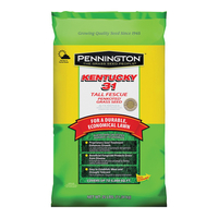 Pennington Kentucky 31 Series 100516055 Grass Seed, 25 lb Bag