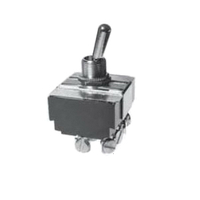 SELECTA SS219S-BG Heavy-Duty Utility Toggle Switch, 10/15 A, 125/250 VAC, 1 -Position, 4PST