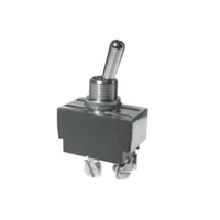 SELECTA SS230-BG Heavy-Duty Utility Toggle Switch, 10/15 A, 125/240 VAC, 2-Circuits, Screw