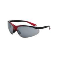 GLASSES BRIGADE RED / SILVER