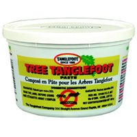 Tanglefoot 300000684 Tree Tanglefoot - 15 oz Tub