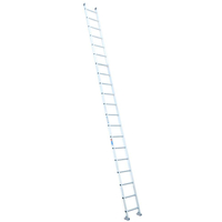 WERNER D1520-1 Straight Ladder, 22 ft H Reach, 300 lb, 20-Step, Aluminum, Metal