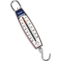 Taylor Vertical Industrial Hanging Scale, Weighs to 70-Pound